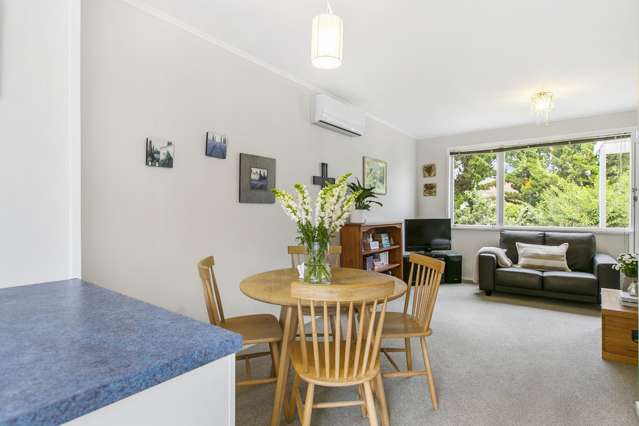 6/19 Peek Street Ellerslie_4