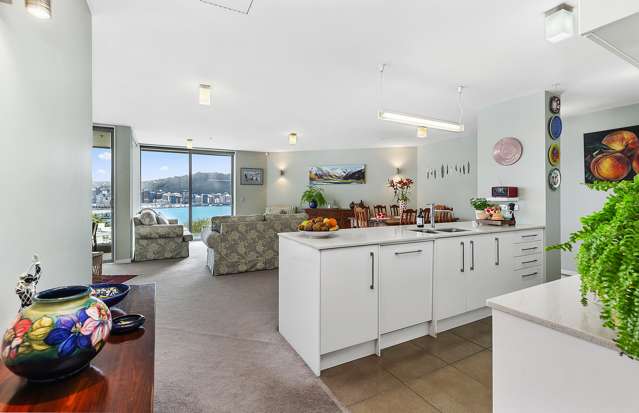 2b/22 Telford Terrace Oriental Bay_4