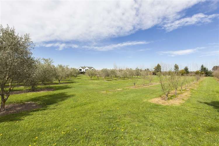 67 Velino Place Ohoka_25