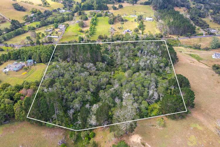 294 Foster Road Waimauku_14