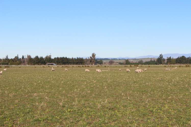 Woodbury Road Geraldine_4