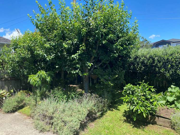 2/159 Russell Road Manurewa_9