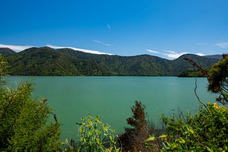 2 Cook Street Havelock_11