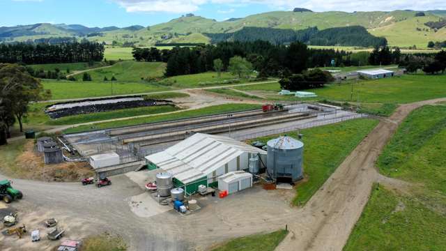 236 Tower Street Ormondville_2