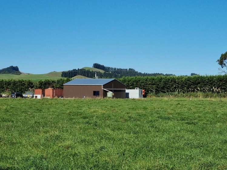 94 Mina Road Cheviot_12