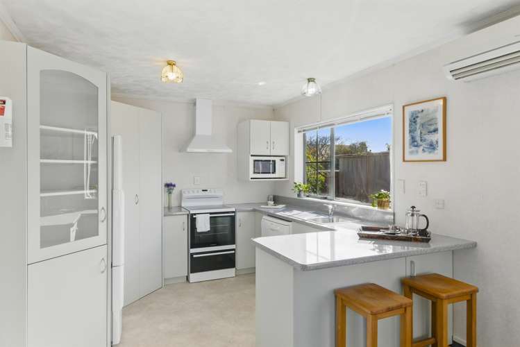 3 Surrey Lane Levin_9