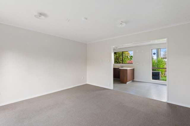 21 Inglis Street Phillipstown_4