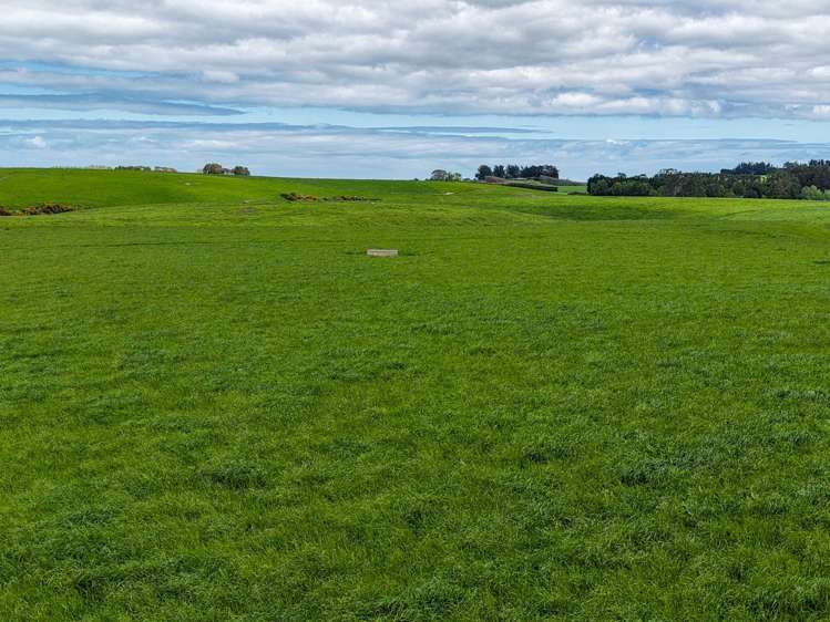 1532 Wyndham Letterbox Road Mataura Island_13