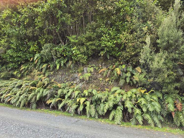 7 Rata Street Stewart Island_6