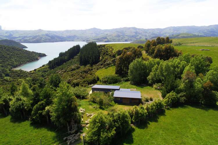 417 Wainui Main Road Wainui_1