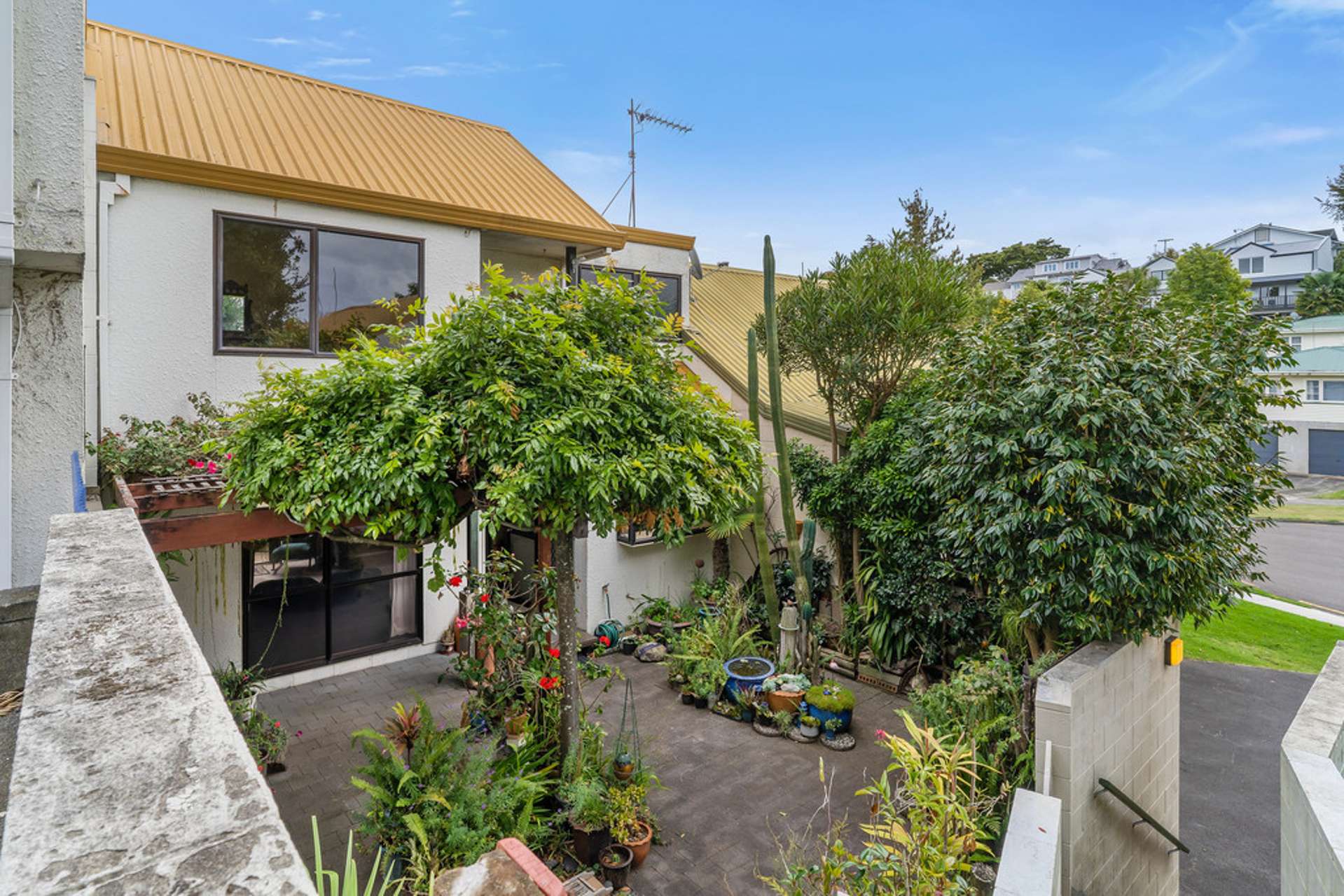 4b Sheath Street Tauranga Central_0