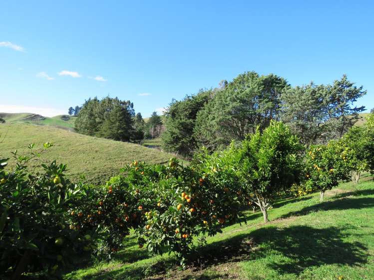 507 Apley Road Puketapu_14