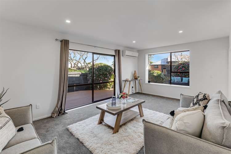 18 Lowry Avenue Redwood_9