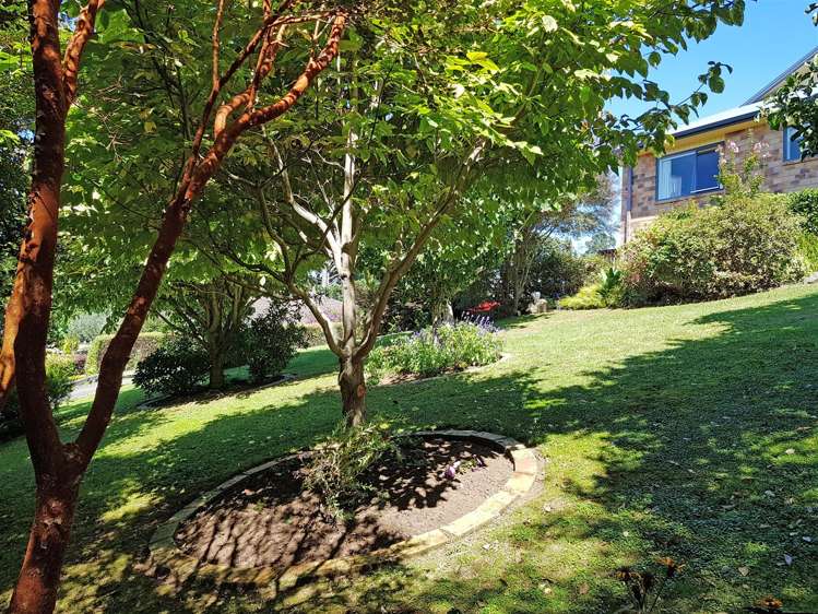 36 Macmillan Street Katikati_19