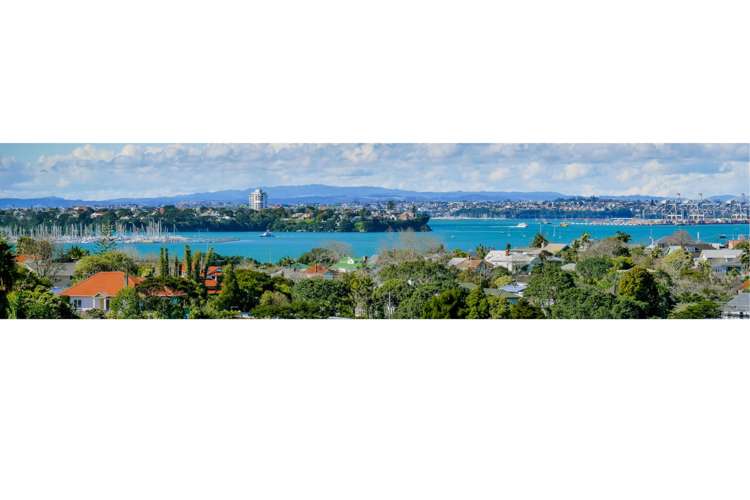 1 Bush View Lane Northcote Point_20