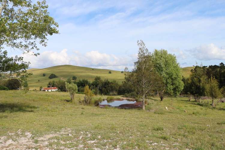 State Highway 10 Taipa_2