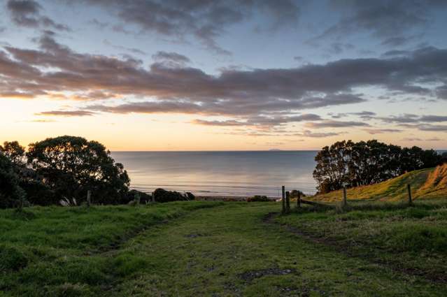 Address withheld Waiotahe_2