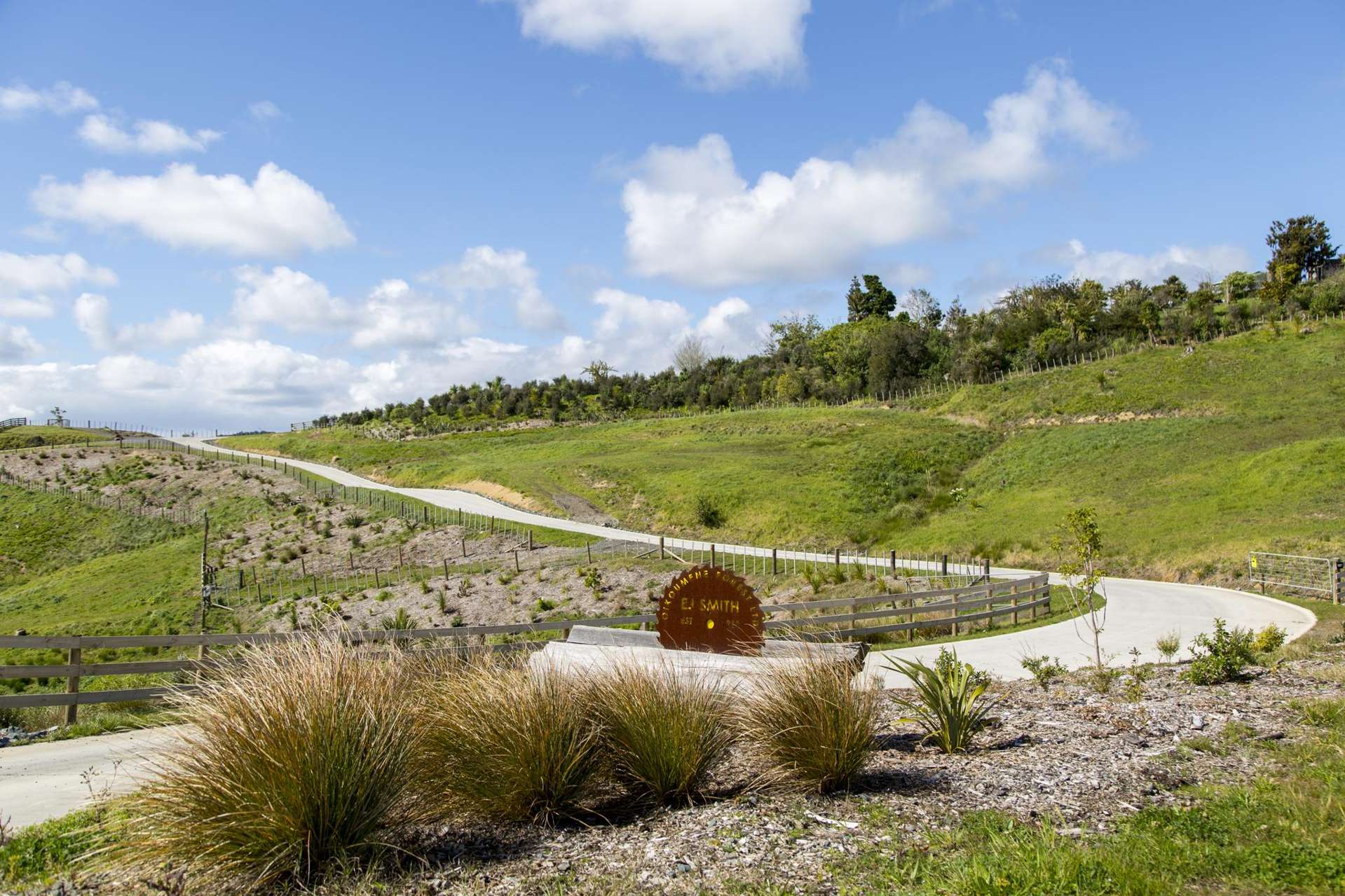 197 Wishart Road Helensville_0