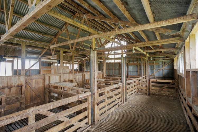 196 Waimanu Road Pukeatua_11