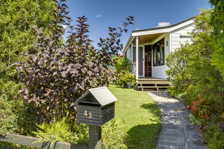 43 Donegal Crescent Tamatea_22