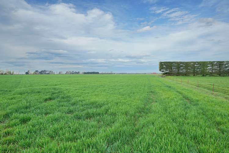 1322 South Eyre Road Swannanoa_5