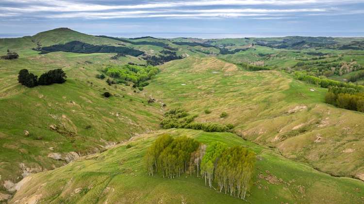 139 Clareinch Road Omakere_21