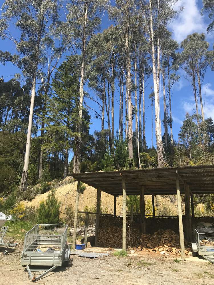 815 Thorpe-Orinoco Road Thorpe_17