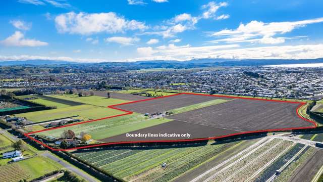 139 Waverley Road Meeanee_1