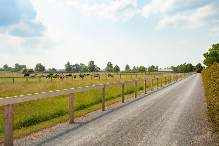 497 Mowbray Road Waharoa_19