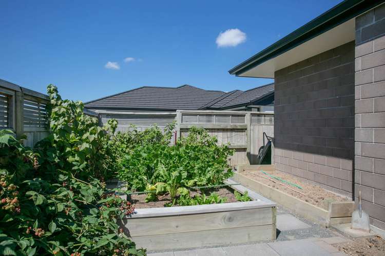 62 Kingdon Street Leamington_19