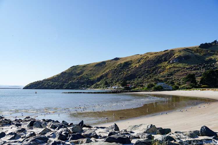 928 Harington Point Road Harington Point_24