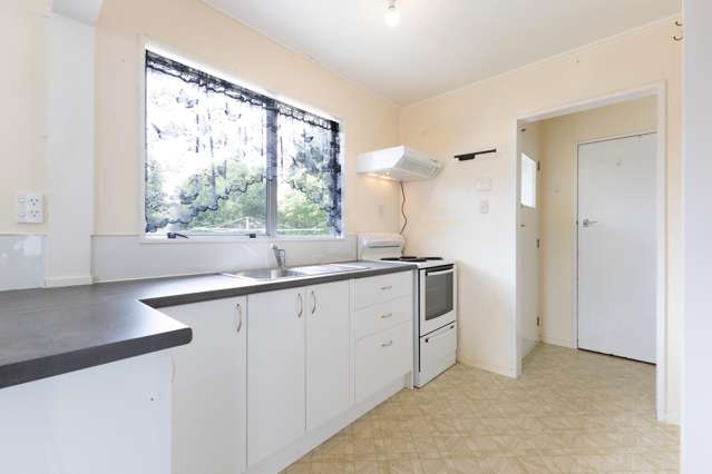 29 Rata Street Roslyn_4