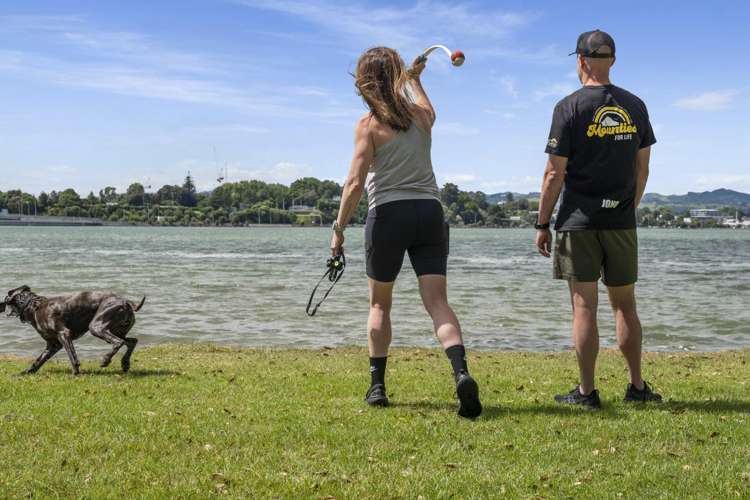 65a Maxwells Road Otumoetai_19