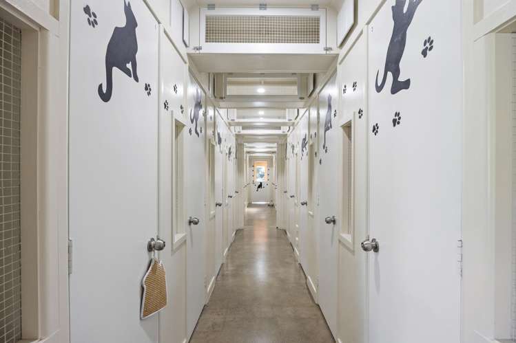 52 Church Street Oxford_20