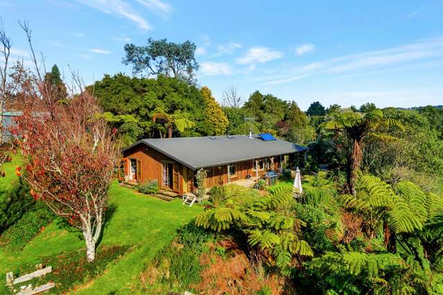 399 Wainui South Road Whakamarama_3