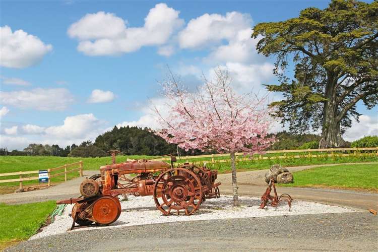 163 White Road Hunua_6