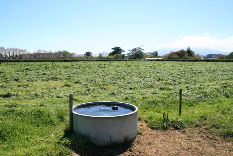 520 Lower Duthie Road Matapu_21