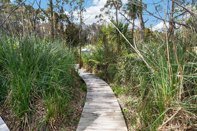 124 Rangiora Road Kaiwaka_38
