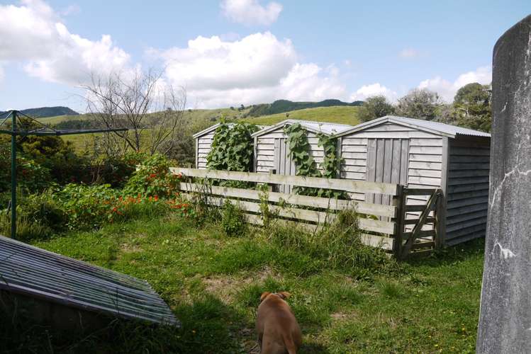121 Guy Road Kaipara Flats_14