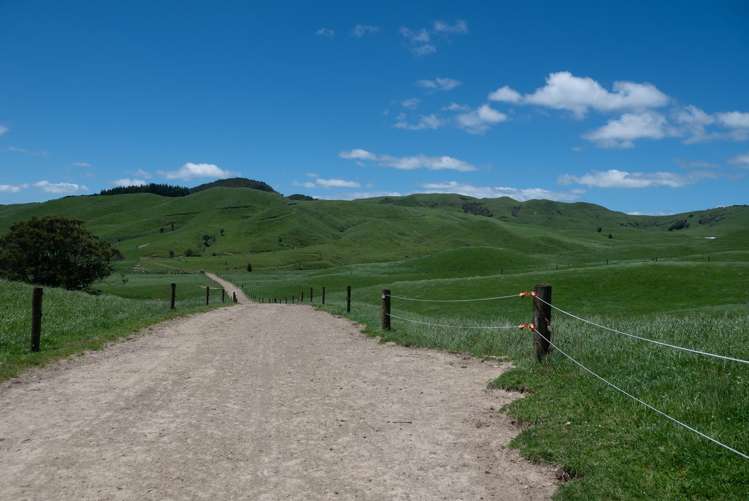 313 Te Wera Road Matawai_14