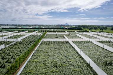 187 Western Drain Road_4