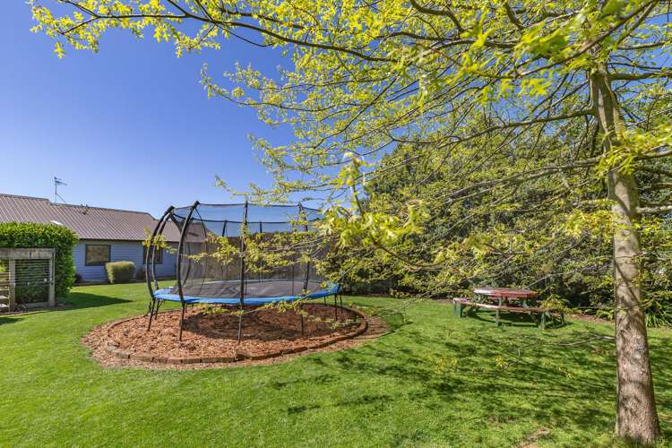 178 The Avenue Levin_19