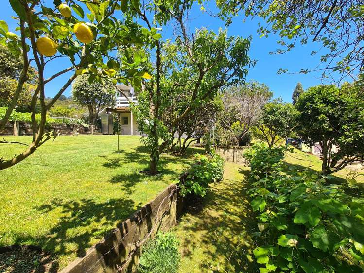 43 Kowhai Drive Te Kouma_12