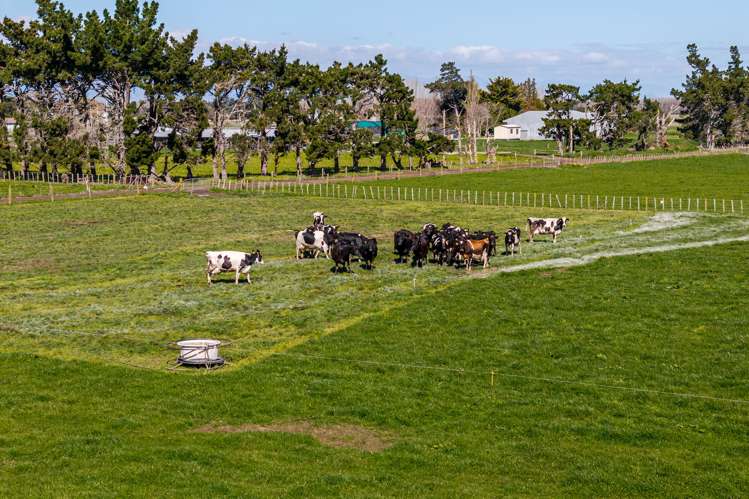 1040 Roberts Line Bunnythorpe_27