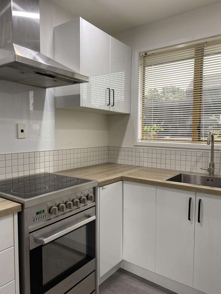 3 Pohutukawa Place Ellerslie_4