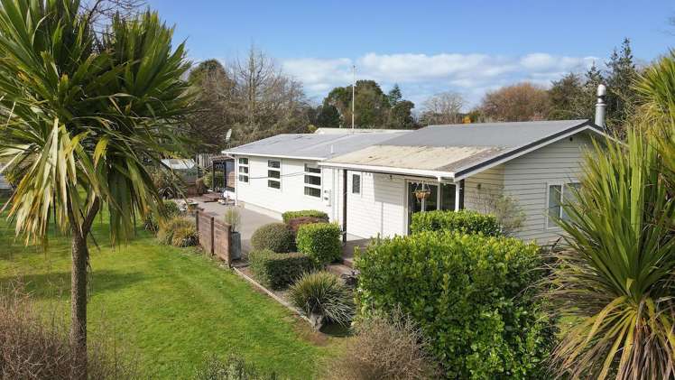 22 Maire Street Mamaku_2