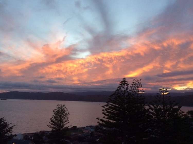 5a Stormanstown Way Seatoun_13