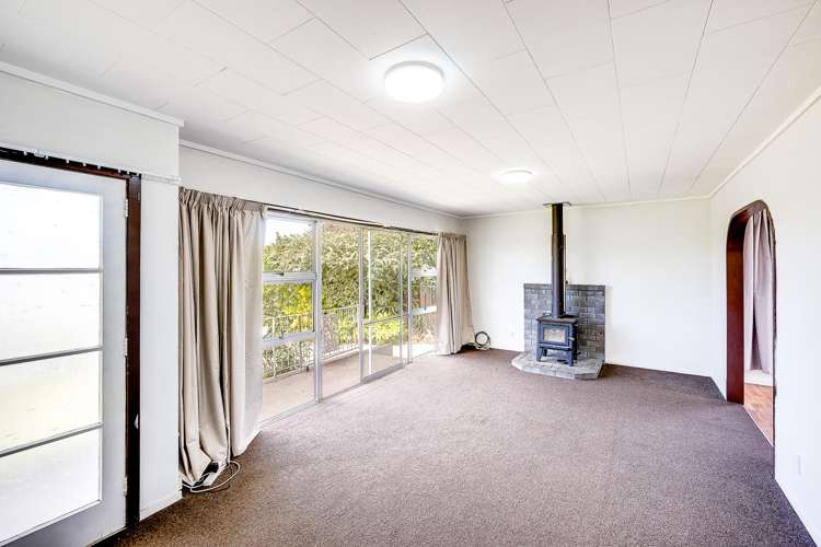 5 Plunket Street Tamatea_9