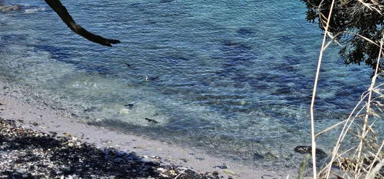 216K and 216Q Matapaua Bay Road Opito Bay_15