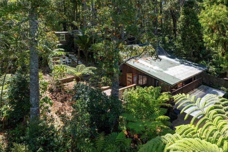 113 Laingholm Drive Laingholm_13